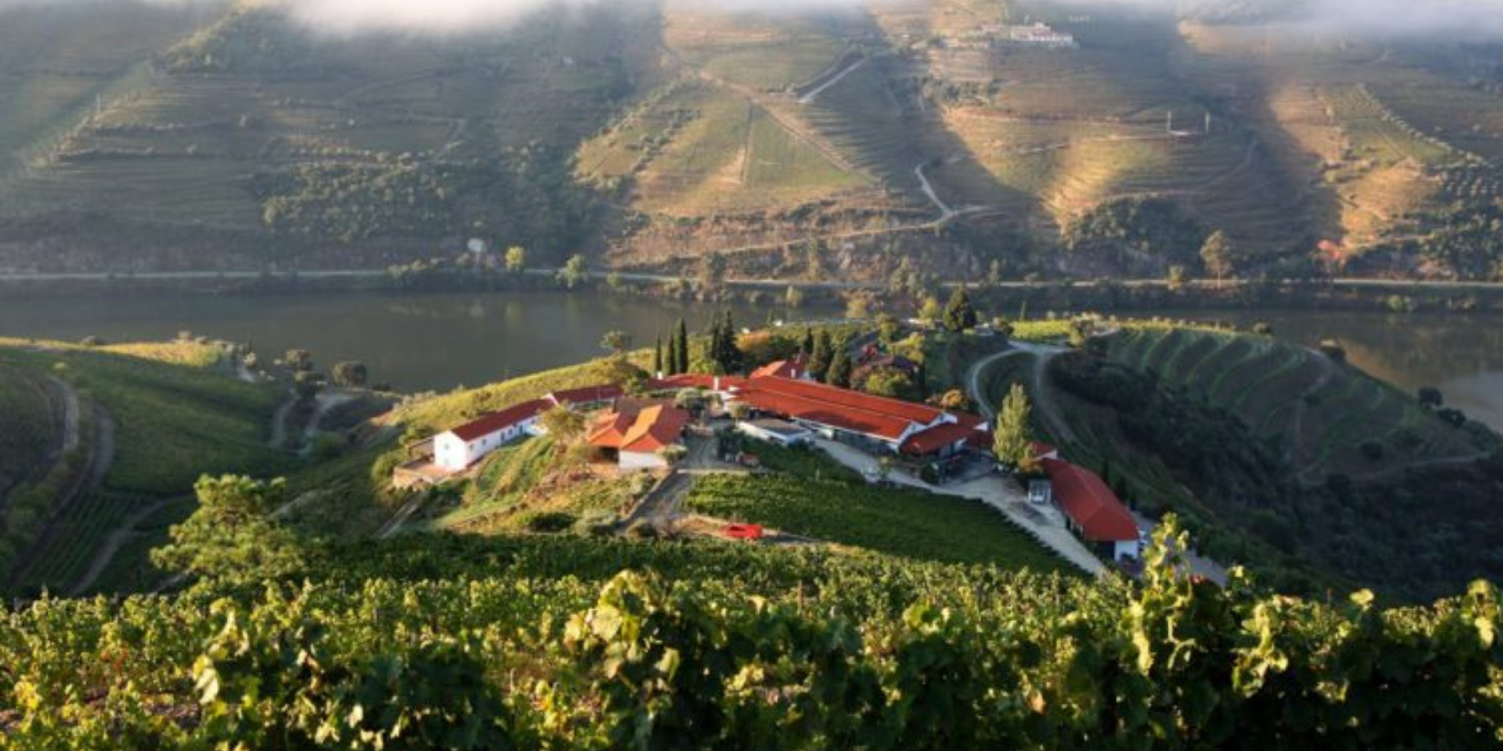 Quinta Nova de Nossa Senhora do Carmo - Premium Wine Tourism in the Douro Valley